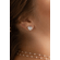 25421 -modelo-.png